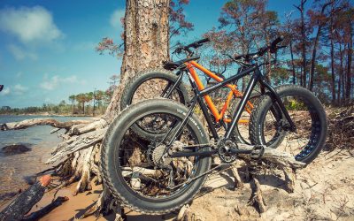 Pensacola Mountain Bike Tours have new fat bikes!