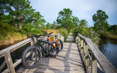 Pensacola Mountain Bike Tours adds beginner DIY beach trail tour!