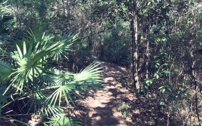 UWF Mountain Bike Trails