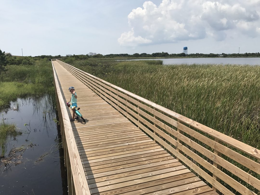 Hugh S. Branyon Backcountry Trail in Orange Beach, Alabama - Pensacola ...